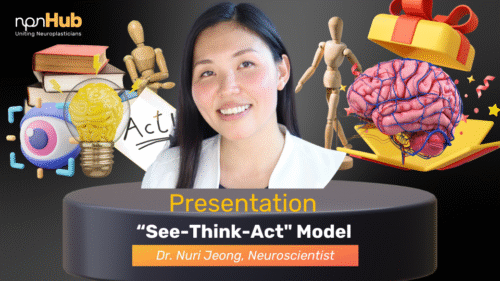 A Neuroscientist Dr. Nuri Jeong, explores her _See-Think-Act_ model